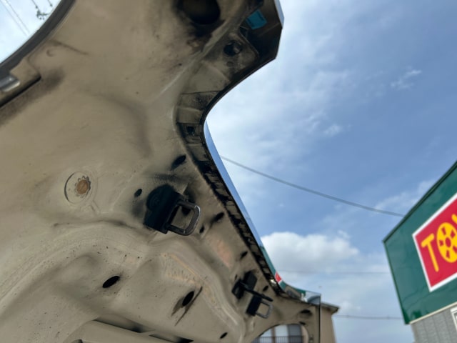 TOYSCAR