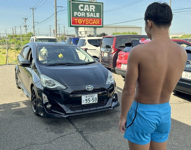 TOYSCAR